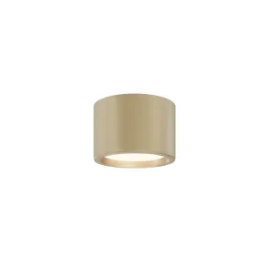 Stropna svetilka C090CL-10W3K-MG