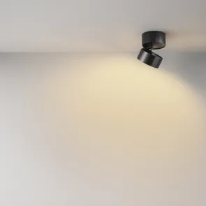 Ceiling lamp C024CL-12W2.7K-B-1