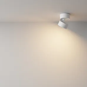 Ceiling lamp C024CL-12W3K-W-1