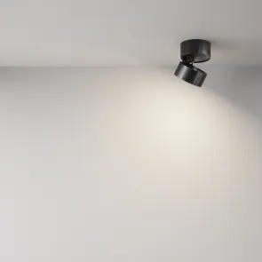 Ceiling luminaire C024CL-L12B4K