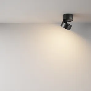 Ceiling luminaire C024CL-L12B3K