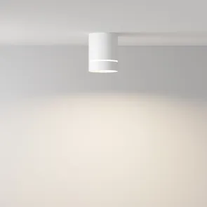 Stropna svetilka C085CL-9W4K-W