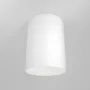 Ceiling luminaire C014CL-01W