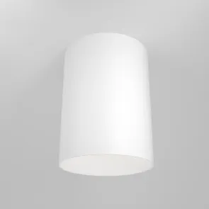 Ceiling luminaire C014CL-01W