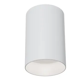 Ceiling luminaire C014CL-01W