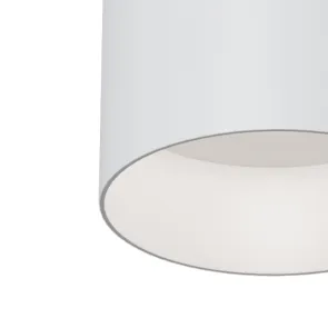 Ceiling luminaire C014CL-01W