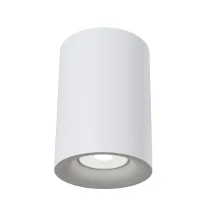 Stropna svetilka C012CL-01W
