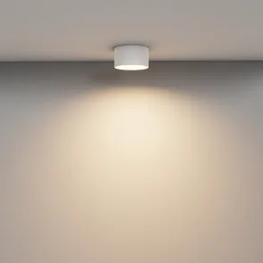 Stropna svetilka C089CL-12W3K-W