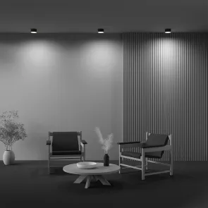 Ceiling luminaire C032CL-12W3K-RD-B