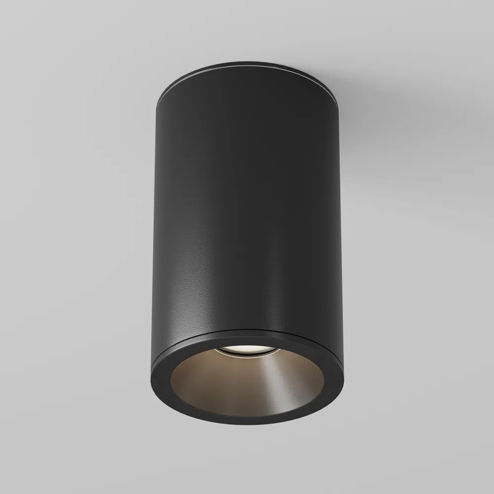 Stropna svetilka C029CL-01-S-B