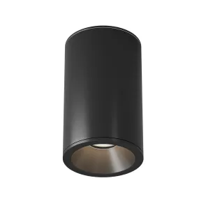 Stropna svetilka C029CL-01-S-B