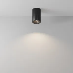 Stropna svetilka C029CL-01-S-B