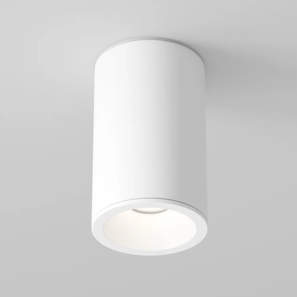 Stropna svetilka C029CL-01-S-W