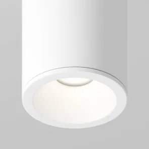Stropna svetilka C029CL-01-S-W
