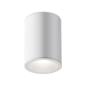 Stropna svetilka C029CL-01W