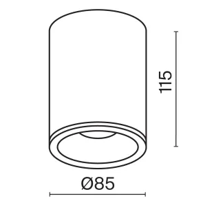 Stropna svetilka C029CL-01W