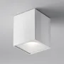 Ceiling luminaire C030CL-01W