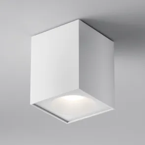 Ceiling luminaire C030CL-01W