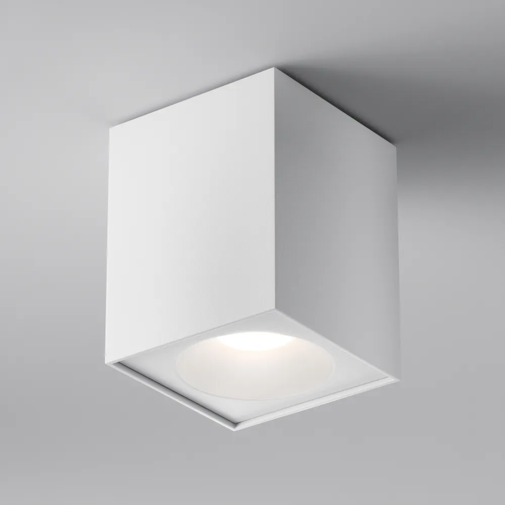 Ceiling luminaire C030CL-01W