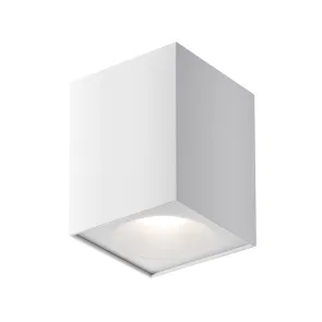 Ceiling luminaire C030CL-01W
