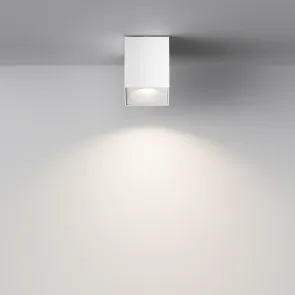 Ceiling luminaire C030CL-01W