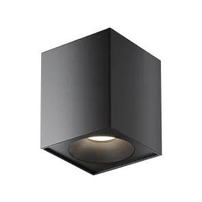 Stropna svetilka C030CL-01B