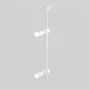 Ceiling luminaire C021CL-02W