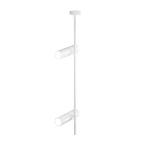 Ceiling luminaire C021CL-02W