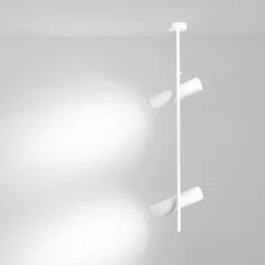 Ceiling luminaire C021CL-02W