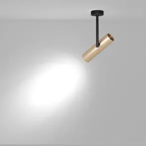 Ceiling luminaire C020CL-01GB