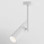 Ceiling luminaire C020CL-01W
