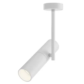 Ceiling luminaire C020CL-01W