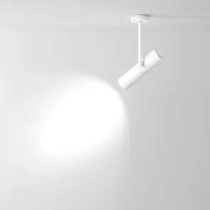 Ceiling luminaire C020CL-01W