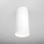 Ceiling luminaire C010CL-01W