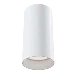 Ceiling luminaire C010CL-01W