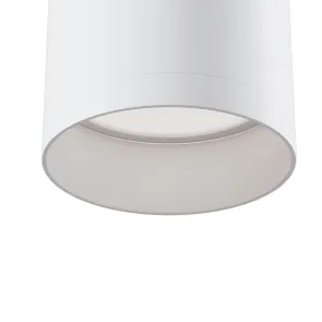Ceiling luminaire C010CL-01W