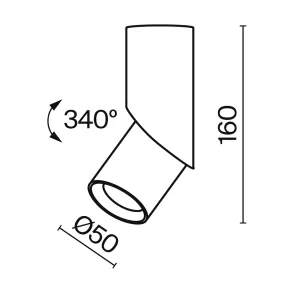 Stropna svetilka C027CL-L10W4K