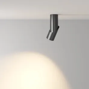 Ceiling luminaire C027CL-L10B