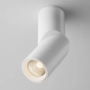 Stropna svetilka C027CL-L10W