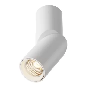 Ceiling luminaire C027CL-L10W