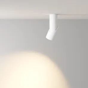 Ceiling luminaire C027CL-L10W