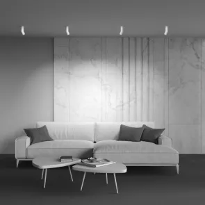Ceiling luminaire C027CL-L10W