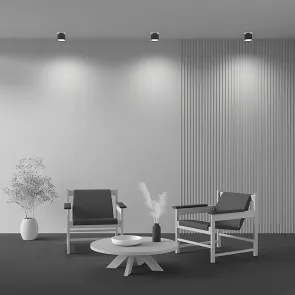 Ceiling luminaire C009CW-L12B4K