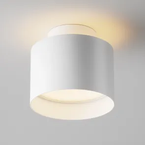 Ceiling luminaire C009CW-L12W