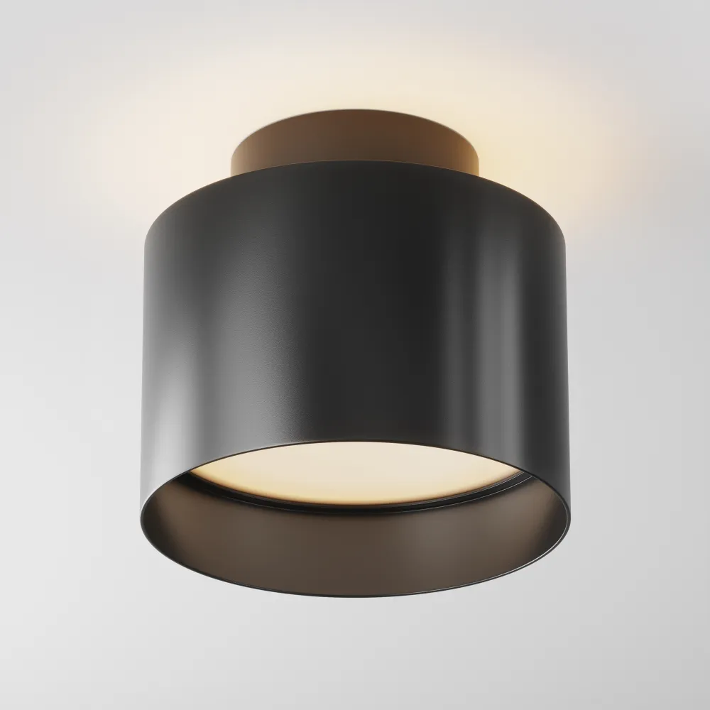 Ceiling luminaire C009CW-L12B