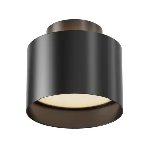 Ceiling luminaire C009CW-L12B