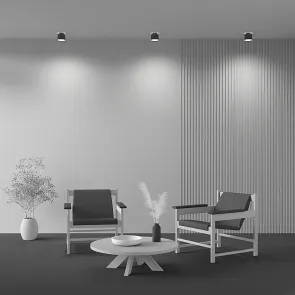 Ceiling luminaire C009CW-L12B