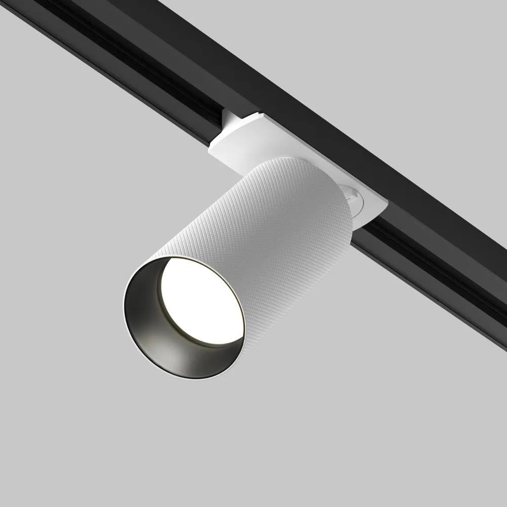 Track Luminaire TR089-1-GU10-WW