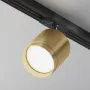 Track Luminaire...