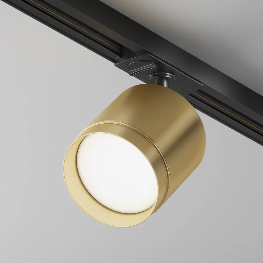 Track Luminaire TR088-1-GX53-MG